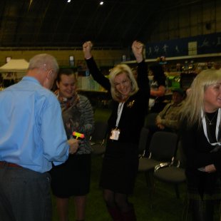 Viktors tika nominēts Bestam un papildu ieguva nomināciju CACIB bez jebkādām problēmām